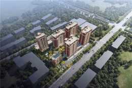 西海岸青特星悦