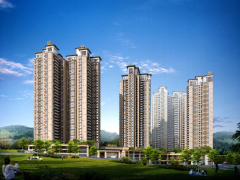 金龙·金色时代