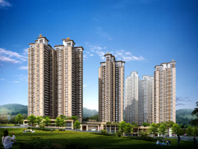 金龙·金色时代